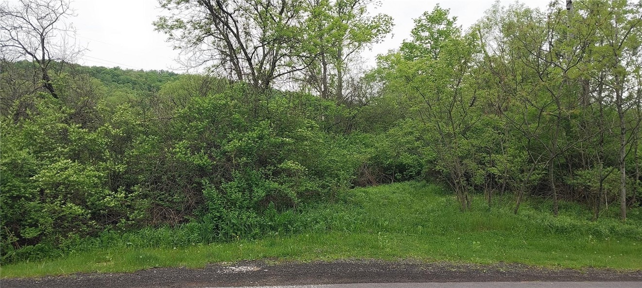 0 Walpole Road Groton, NY 13073 - Photo 2 of 5