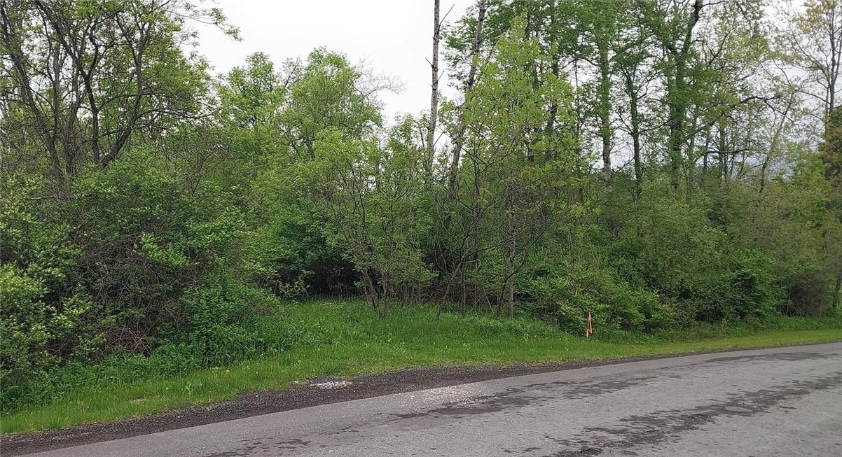 0 Walpole Road Groton, NY 13073 - Photo 3 of 5