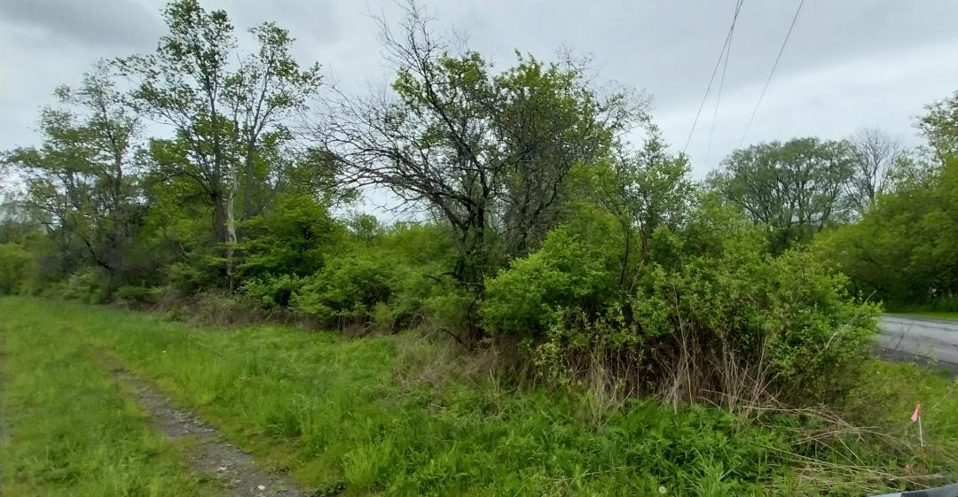 0 Walpole Road Groton, NY 13073 - Photo 5 of 5