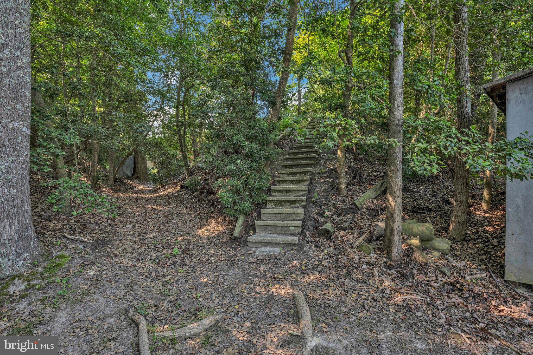 45382 Sypher Road California, MD 20619 - Photo 50 of 58 Stairway #1 of 2 to water