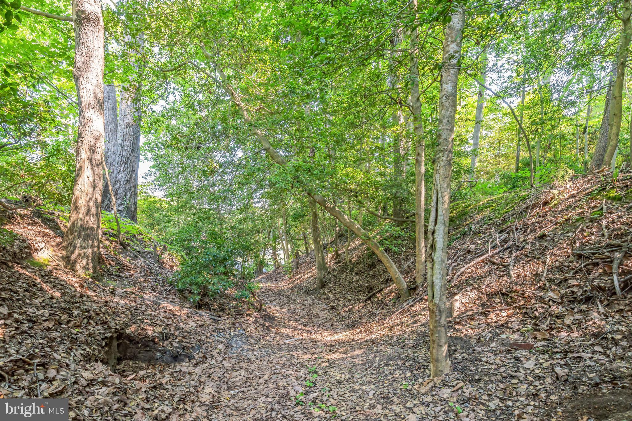 45382 Sypher Road California, MD 20619 - Photo 52 of 58 Path to water