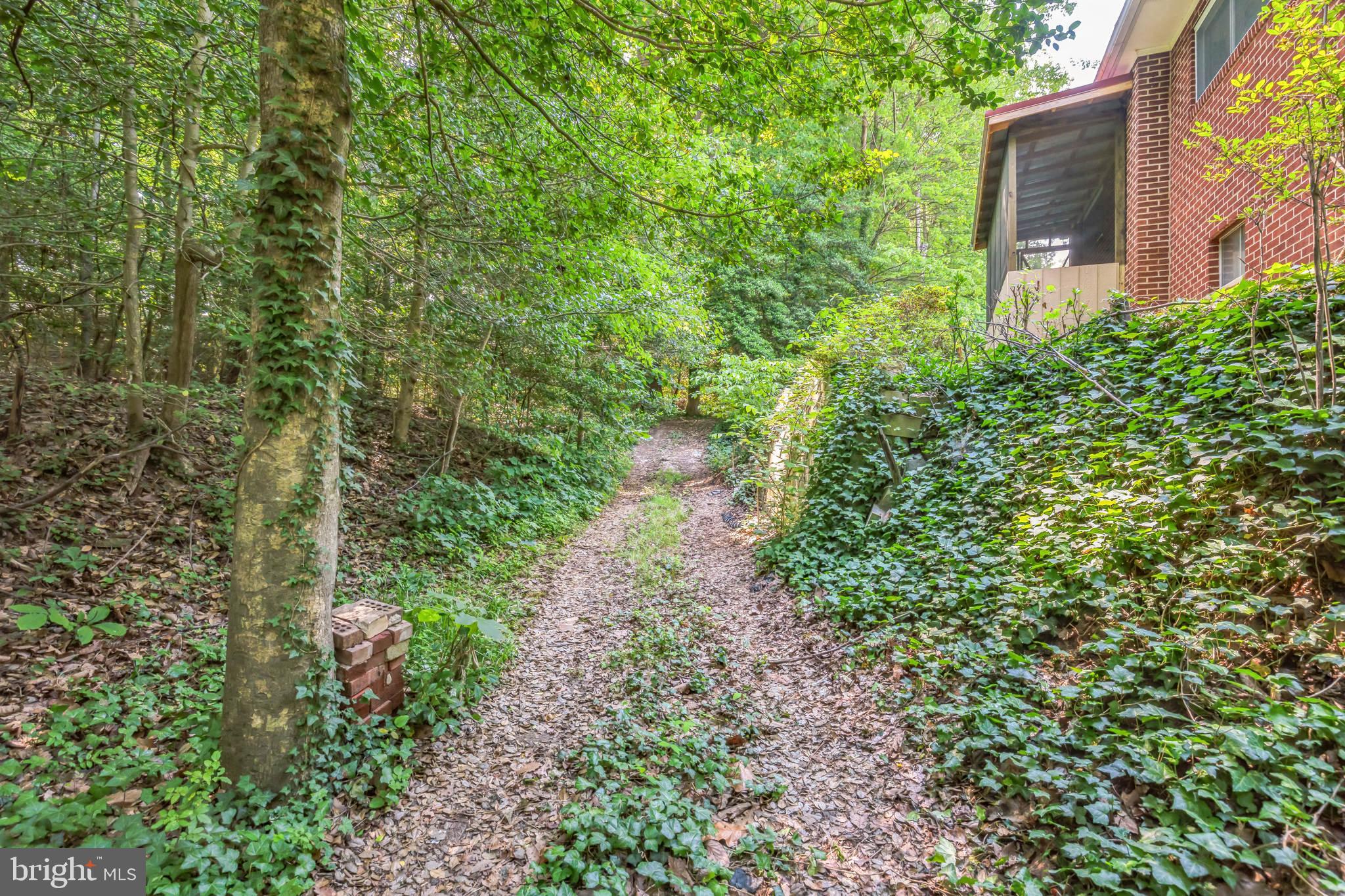 45382 Sypher Road California, MD 20619 - Photo 53 of 58 Path to street side of home
