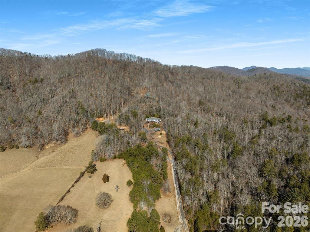 56 Great Horned Owl Road Candler, NC 28715 - Photo 29 of 32 a view of a dry yard