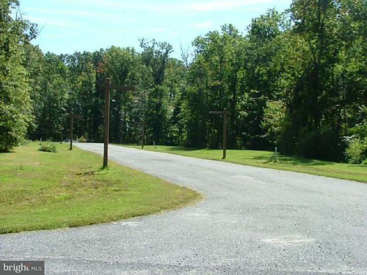 2 Purple Martin Way Dover, DE 19901 - Photo 13 of 18