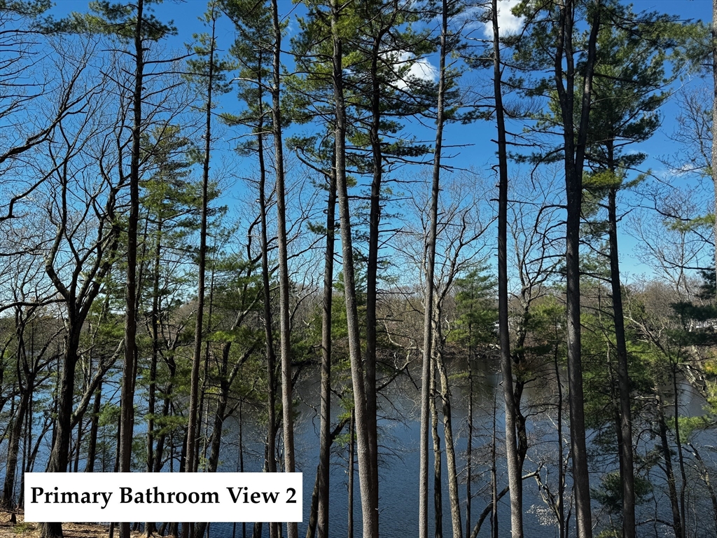 31 Arcadia Road Natick, MA 01760 - Photo 12 of 20 a picture of street view
