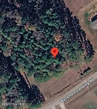 8224 Buckhorn Landing Road Bailey, NC 27807 - Photo 2 of 2 Aerial View