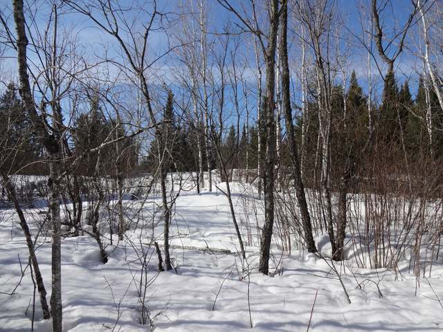 8 Old 8 Road Rhinelander, WI 54501 - Photo 6 of 7 Gallery Image 6