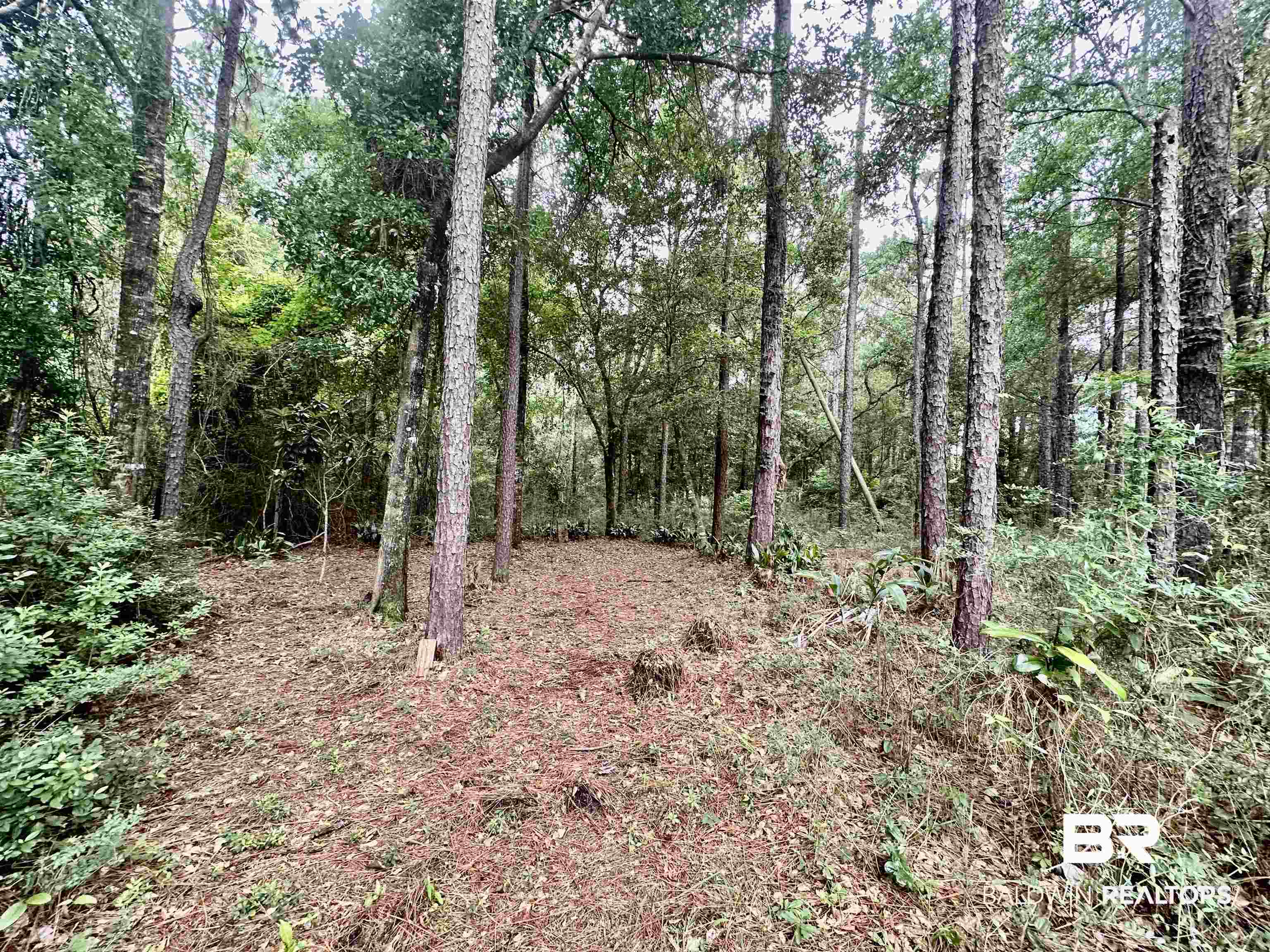 32349 Sibley Creek Road Daphne, AL 36527 - Photo 16 of 22