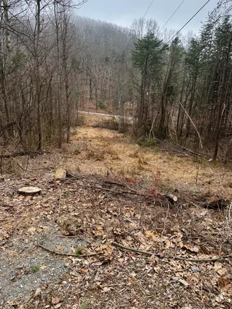 a view of outdoor space with trees