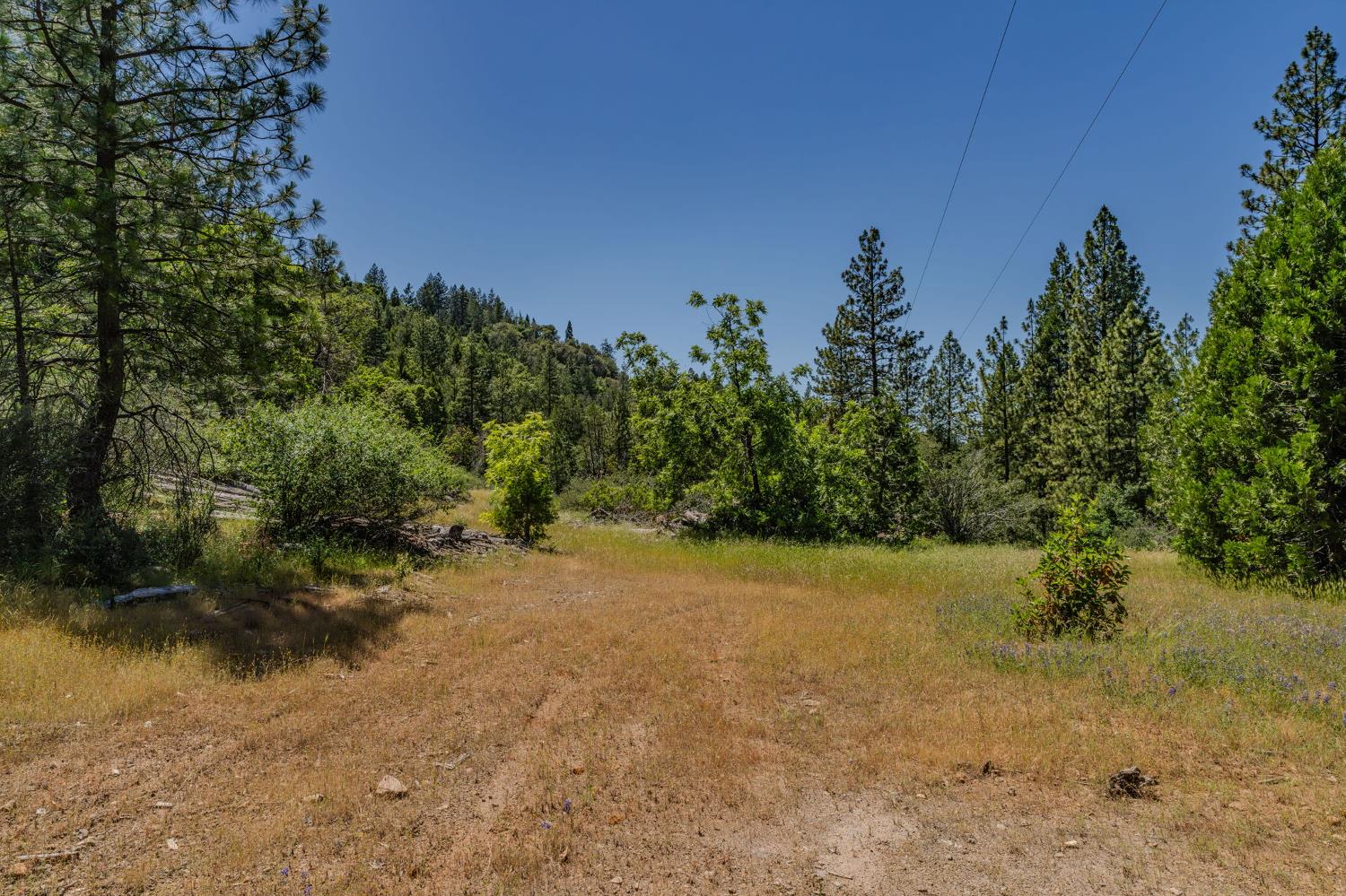 0 Schaefer Ranch Road Pioneer, CA 95666 - Photo 17 of 72