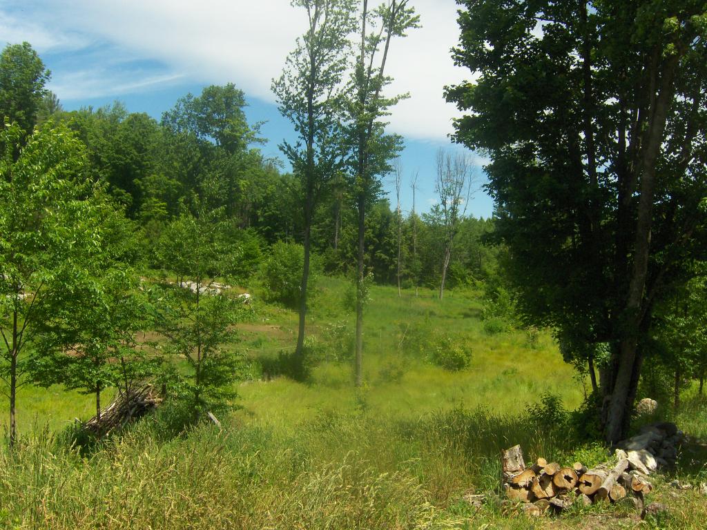 477 Kirk Meadow Road Springfield, VT 05156 - Photo 15 of 17