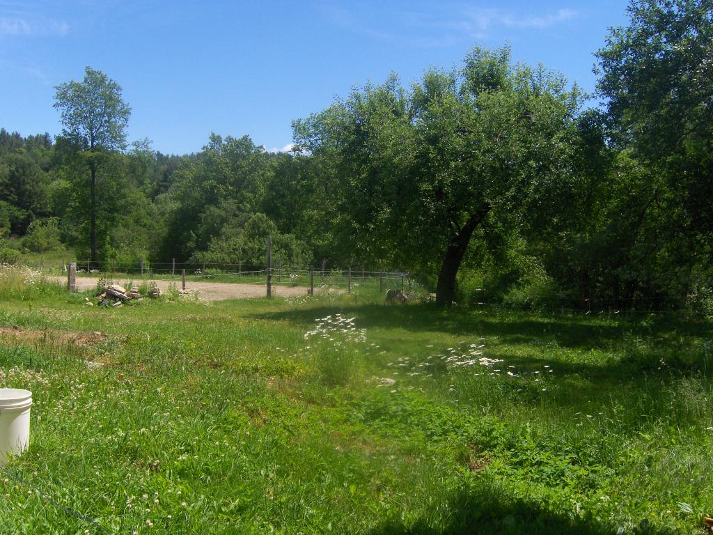 477 Kirk Meadow Road Springfield, VT 05156 - Photo 9 of 17