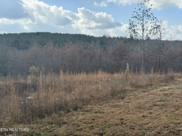 $64,900 | 6.25 Acres Valerie Drive, Deer Lodge, TN 37726