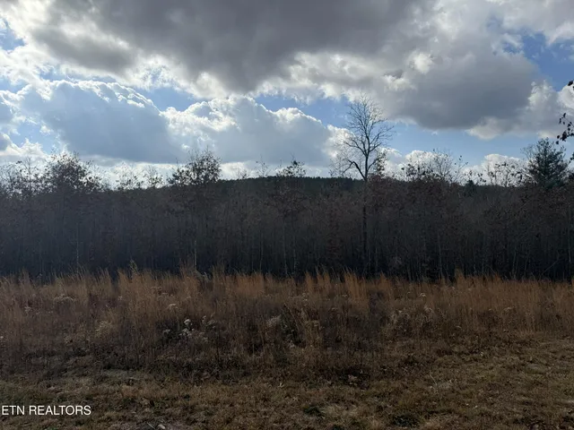 $79,900 | 6.25 Acres Valerie Drive, Deer Lodge, TN 37726