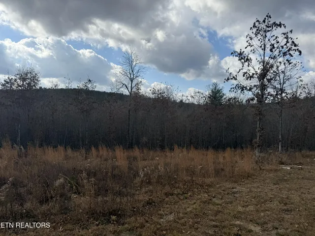 $79,900 | 6.25 Acres Valerie Drive, Deer Lodge, TN 37726