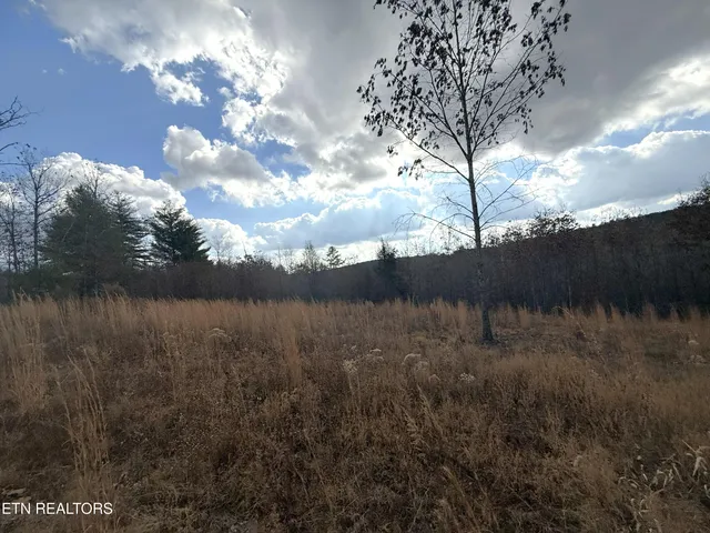 $79,900 | 6.25 Acres Valerie Drive, Deer Lodge, TN 37726