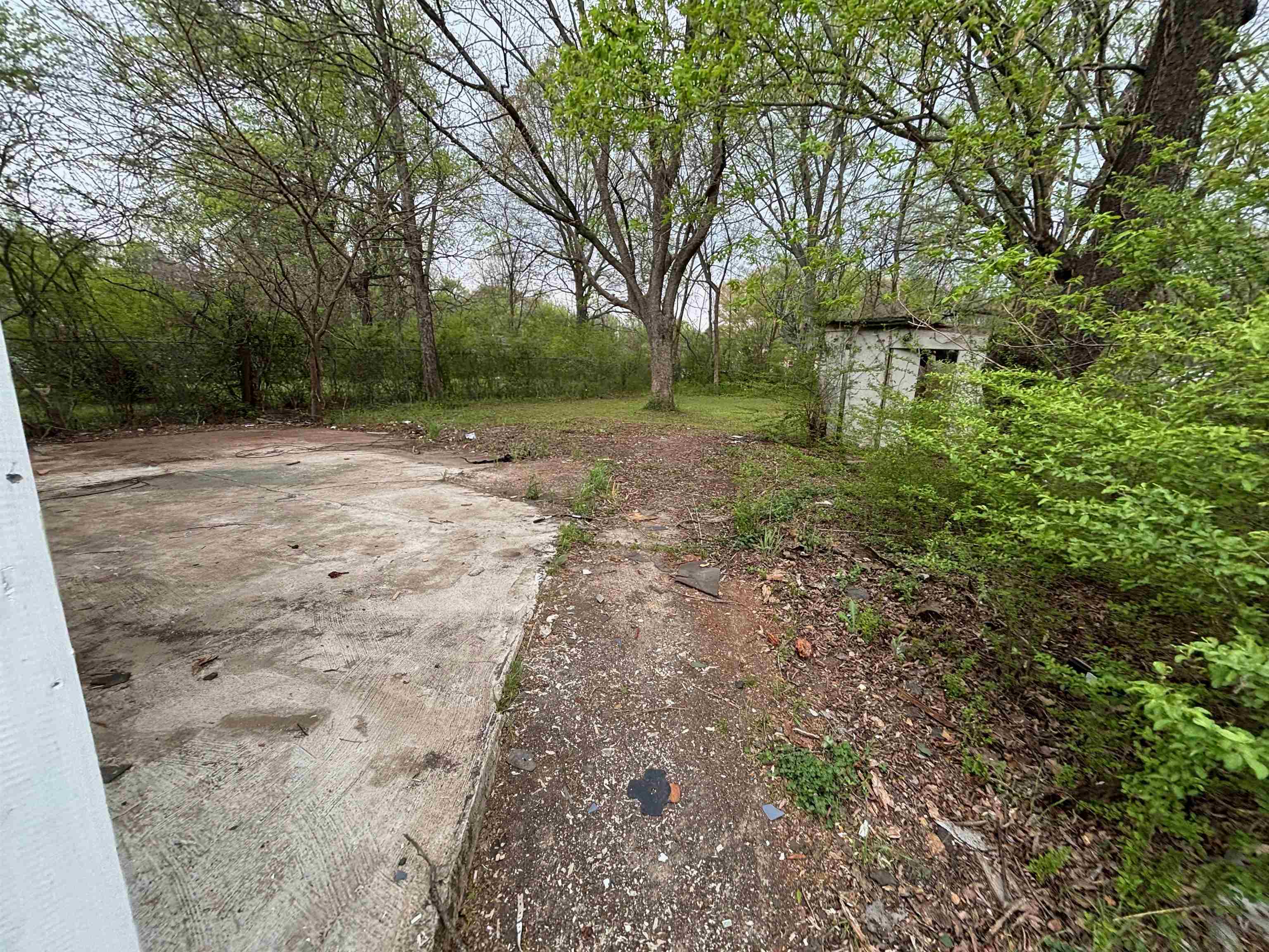 3043 Sax Road Memphis, TN 38109 - Photo 8 of 9 a view of a yard with plants and trees