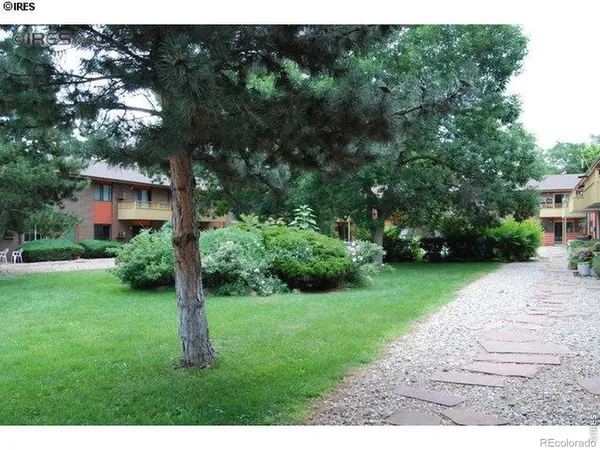 a view of a yard with plants and a fountain