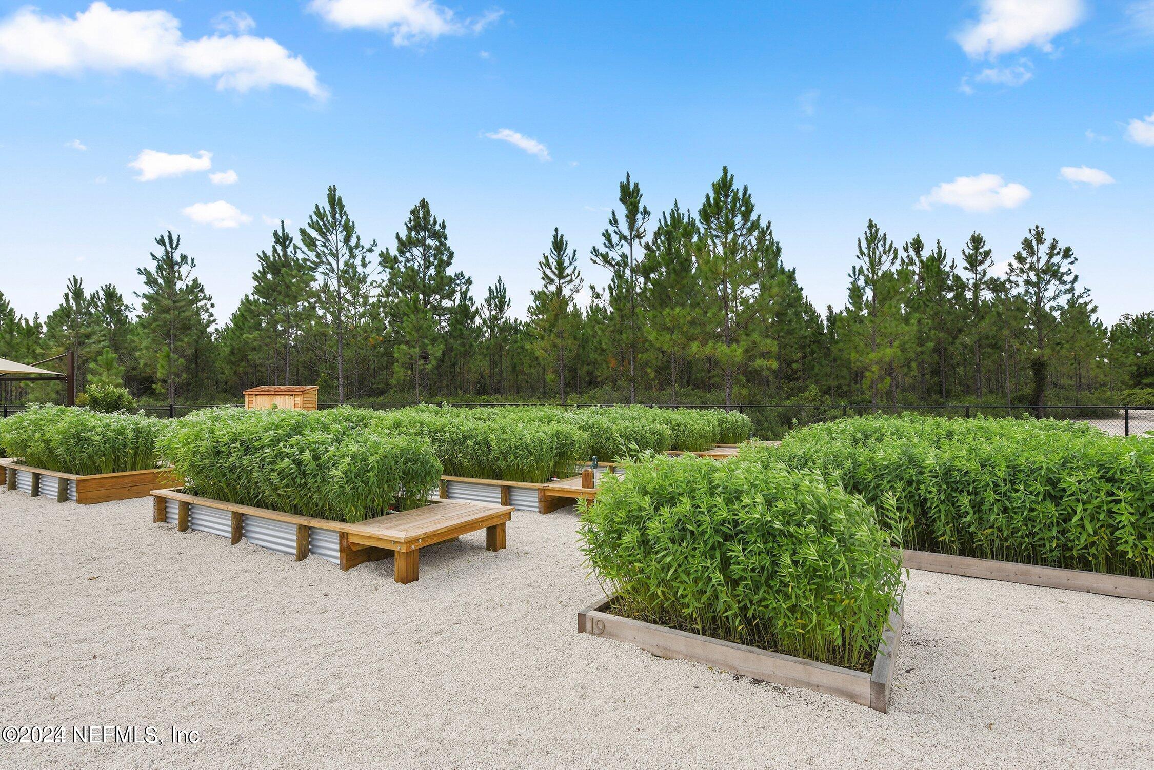 364 Beale Avenue St. Augustine, FL 32092 - Photo 54 of 54 a view of a garden with lawn chairs and a fire pit