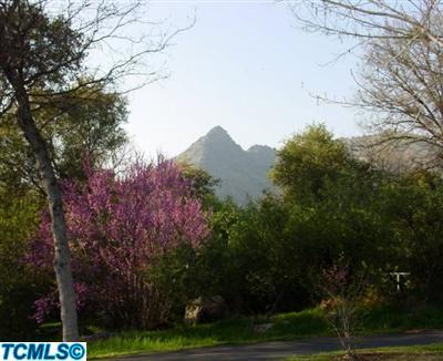 44103 Redbud Trail Three Rivers, CA 93271 - Photo 15 of 17 Additional Photo