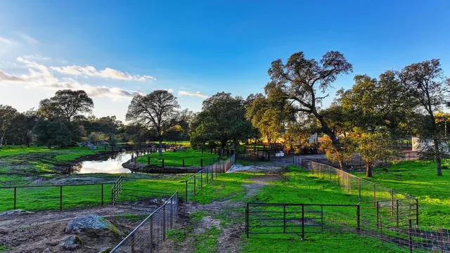 $1,200,000 | 1755 Karchner Road, Lincoln, CA 95648