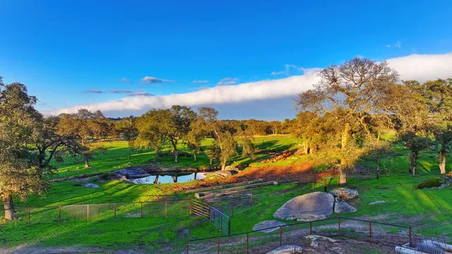 $1,200,000 | 1755 Karchner Road, Lincoln, CA 95648