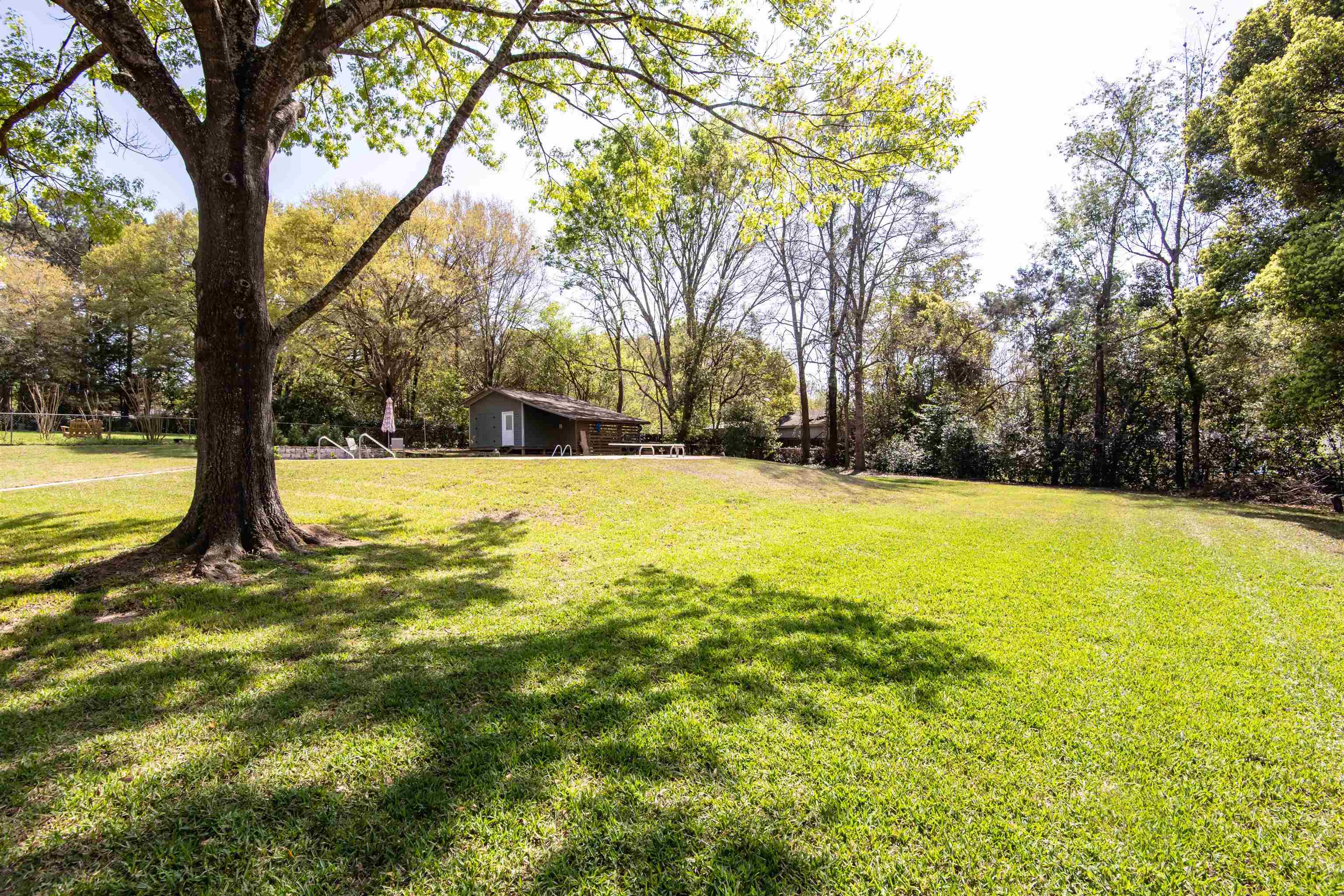 4267 Camden Road Tallahassee, FL 32303 - Photo 3 of 36 Gallery Image 3