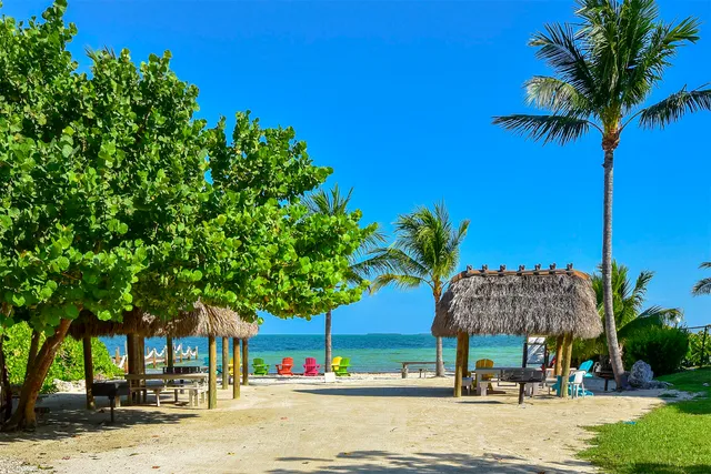 a view of a yard with plants and a large tree