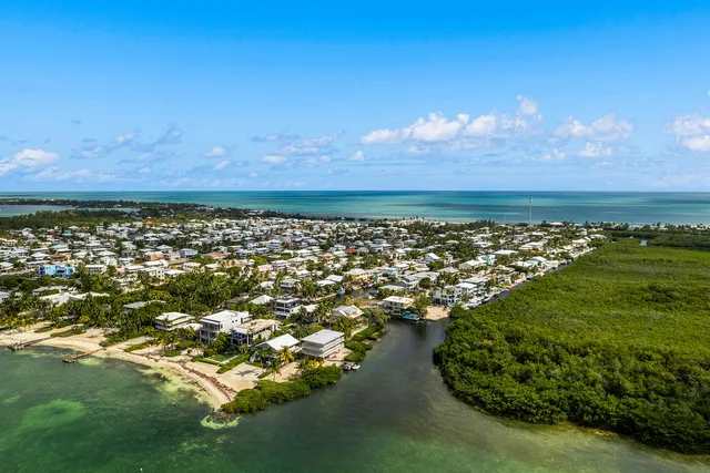 an aerial view of a houses with ocean view