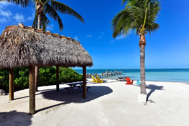 a black and white photo of a living room