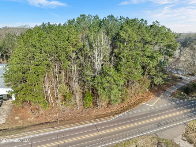 $300,000 | 14.75 Acres Highway, Ellisville, MS 39437