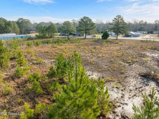 $300,000 | 14.75 Acres Highway, Ellisville, MS 39437
