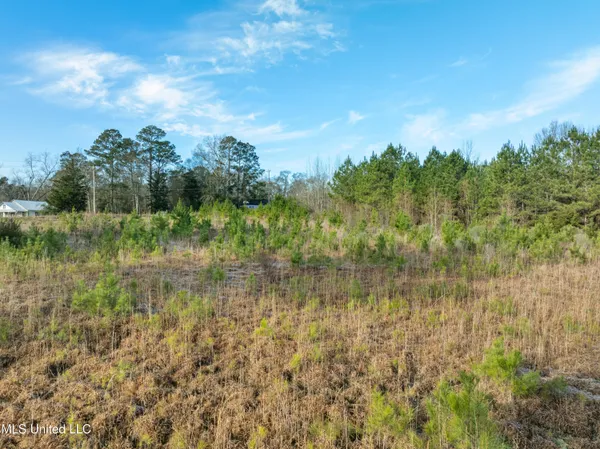 $300,000 | 14.75 Acres Highway, Ellisville, MS 39437
