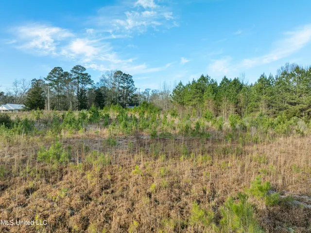 $300,000 | 14.75 Acres Highway, Ellisville, MS 39437