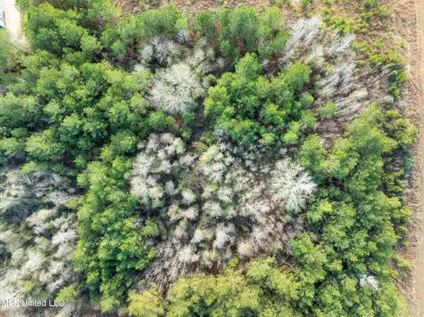 $300,000 | 14.75 Acres Highway, Ellisville, MS 39437