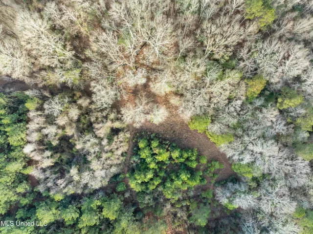 $300,000 | 14.75 Acres Highway, Ellisville, MS 39437