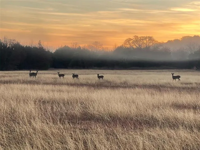 $9,675,000 | 4658 County Road 163, Stephenville, TX 76401