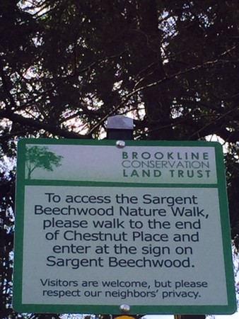 22 Chestnut Place, Unit 317 Brookline, MA 02445 - Photo 14 of 15