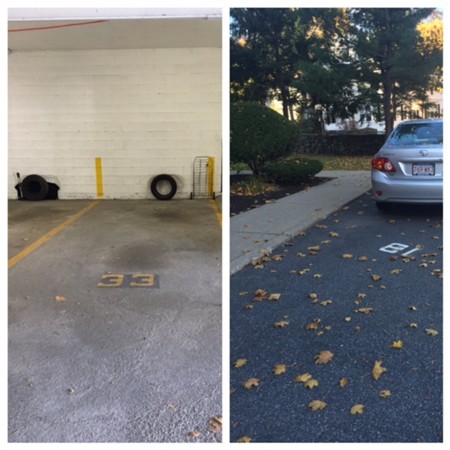 22 Chestnut Place, Unit 317 Brookline, MA 02445 - Photo 15 of 15