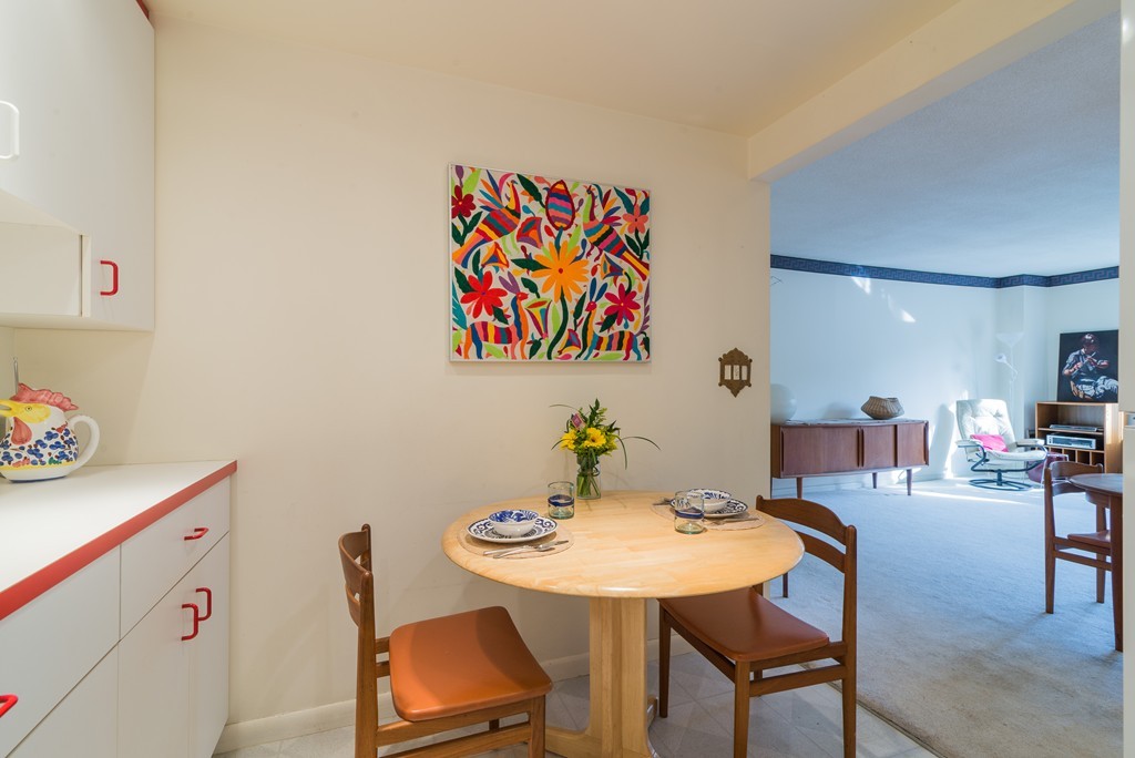 22 Chestnut Place, Unit 317 Brookline, MA 02445 - Photo 4 of 15