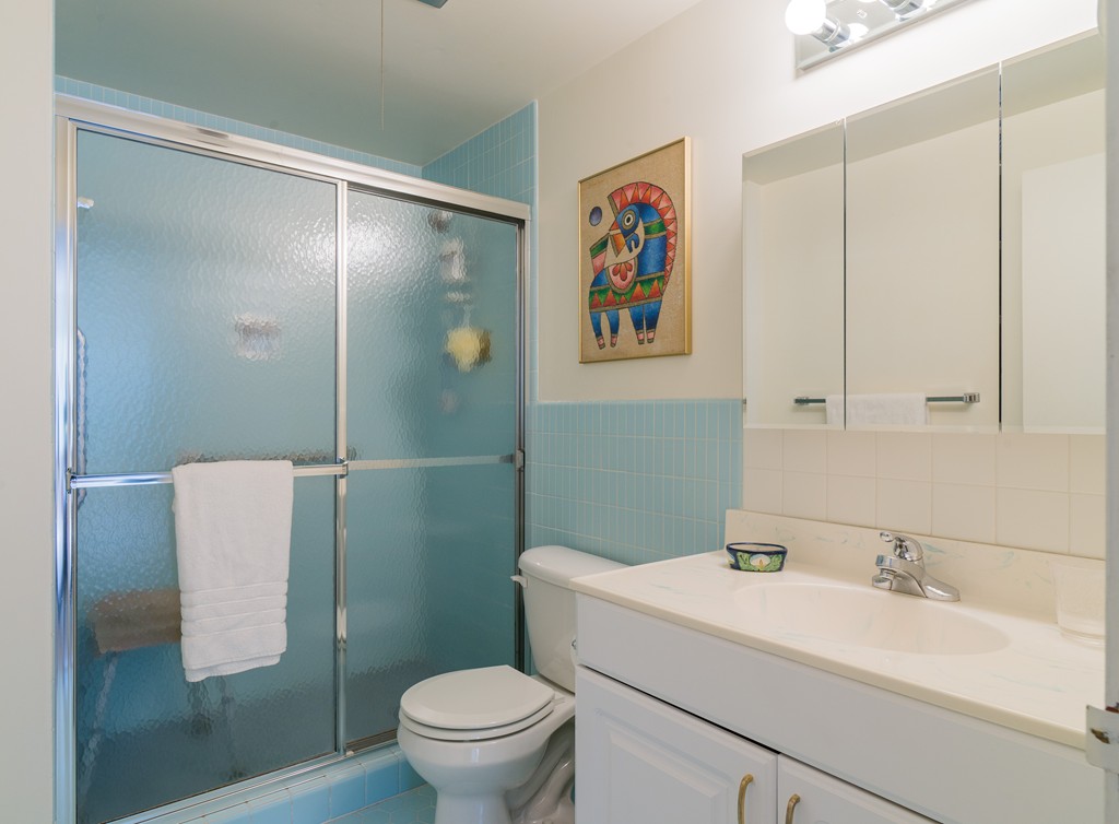 22 Chestnut Place, Unit 317 Brookline, MA 02445 - Photo 8 of 15