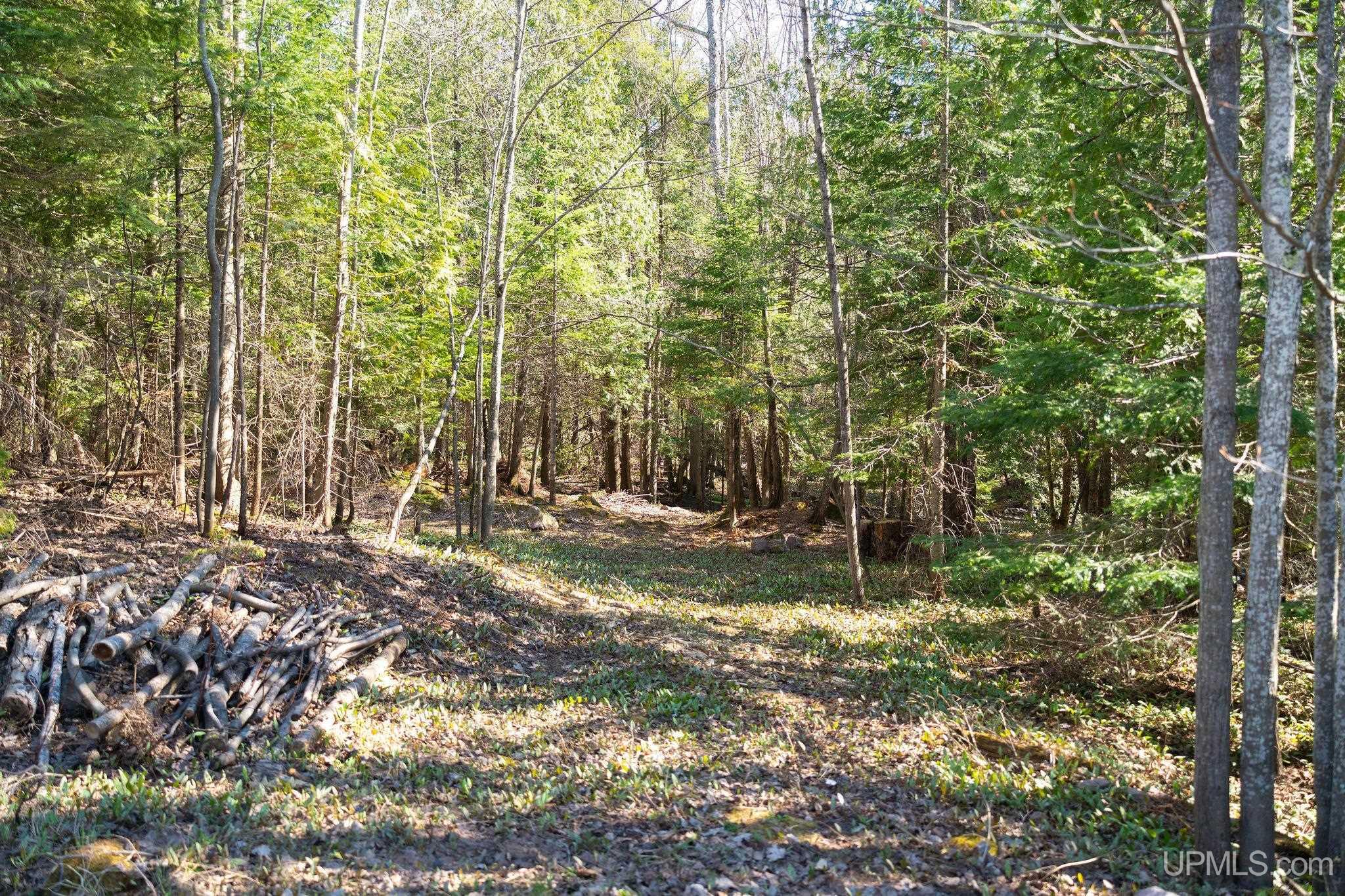 Tbd Tbd Town Hall Road Skandia, MI 49885 - Photo 19 of 23