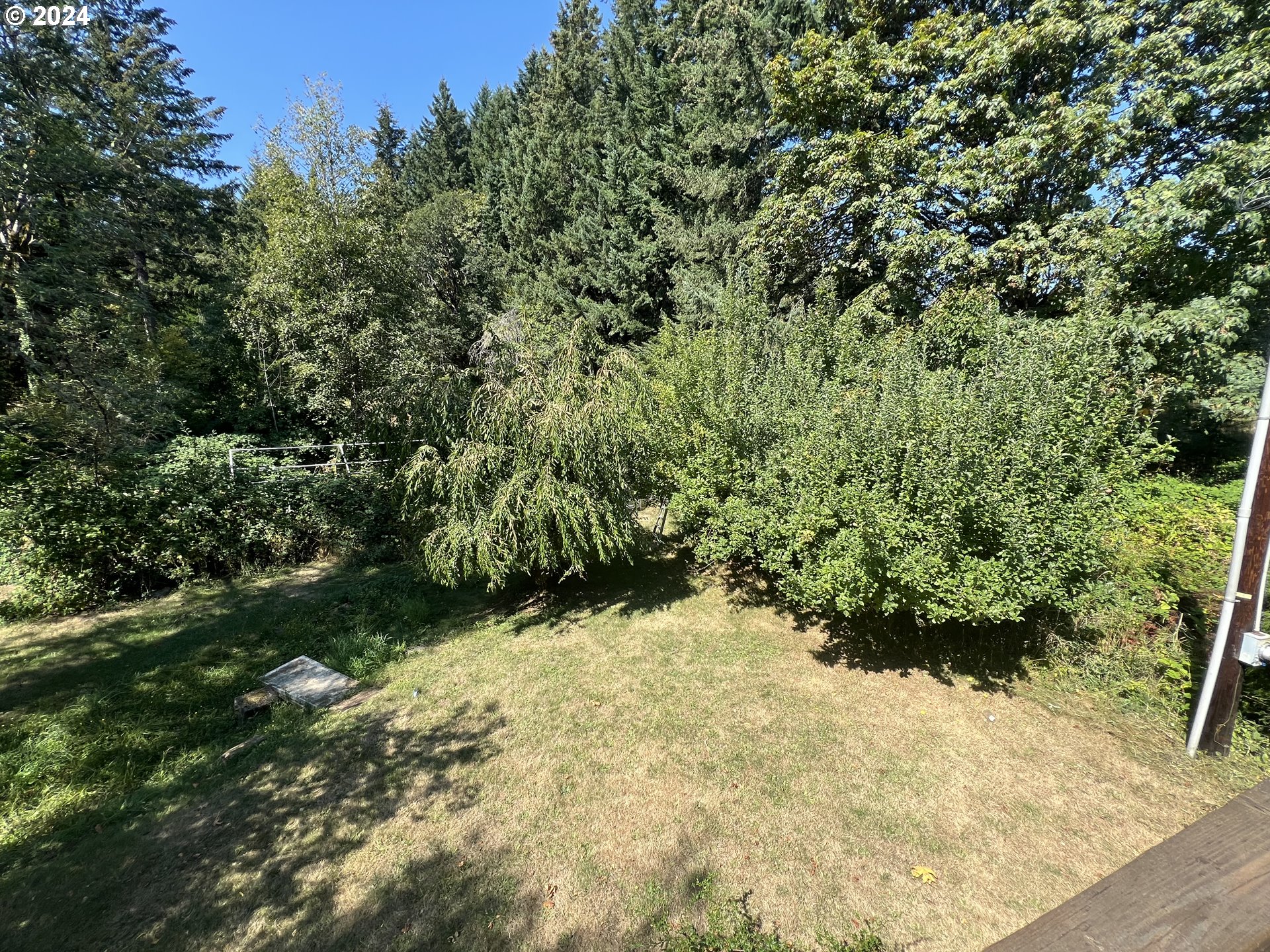1351 Ryan-Allen Road Stevenson, WA 98648 - Photo 10 of 10 a view of a yard with plants and wooden fence