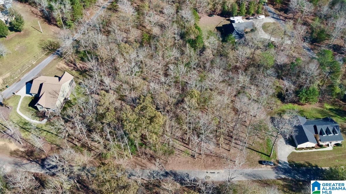 20 County Road 231 Cullman, AL 35057 - Photo 44 of 52