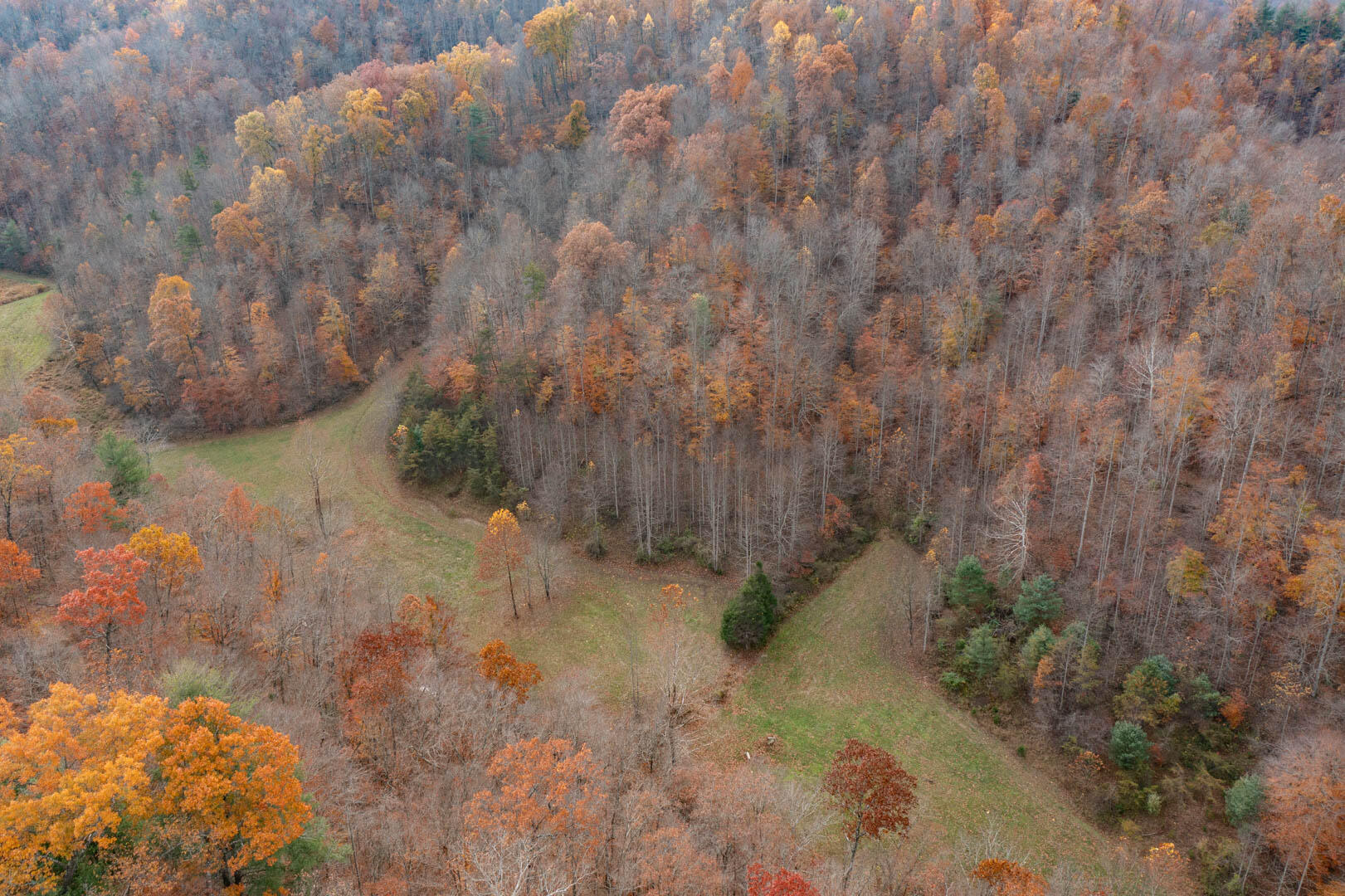 635 Shockey Fork Road Campton, KY 41301 - Photo 20 of 29 DJI_0796