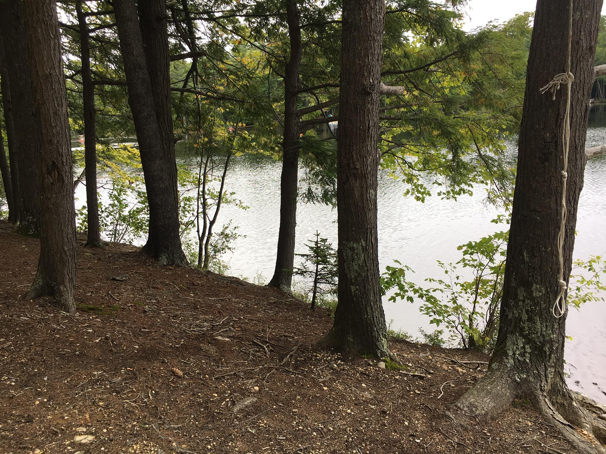 47-acres New Dam Road Limerick, ME 04048 - Photo 18 of 22 91F84B5F-48BB-4B3B-8848-259E80F53521