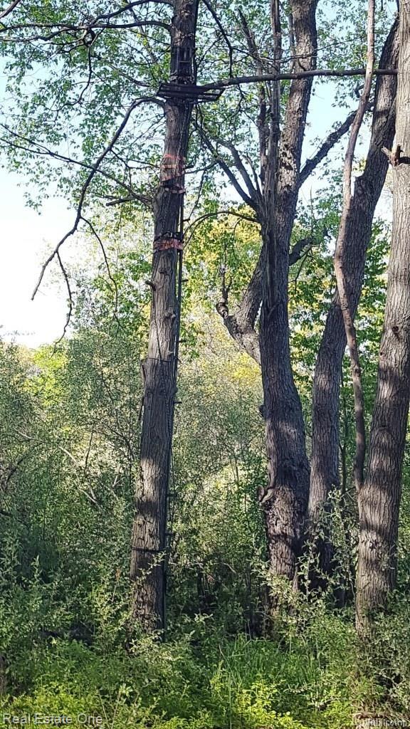 8405 Werkner Road Chelsea, MI 48118 - Photo 55 of 74 20170515_173637.jpg