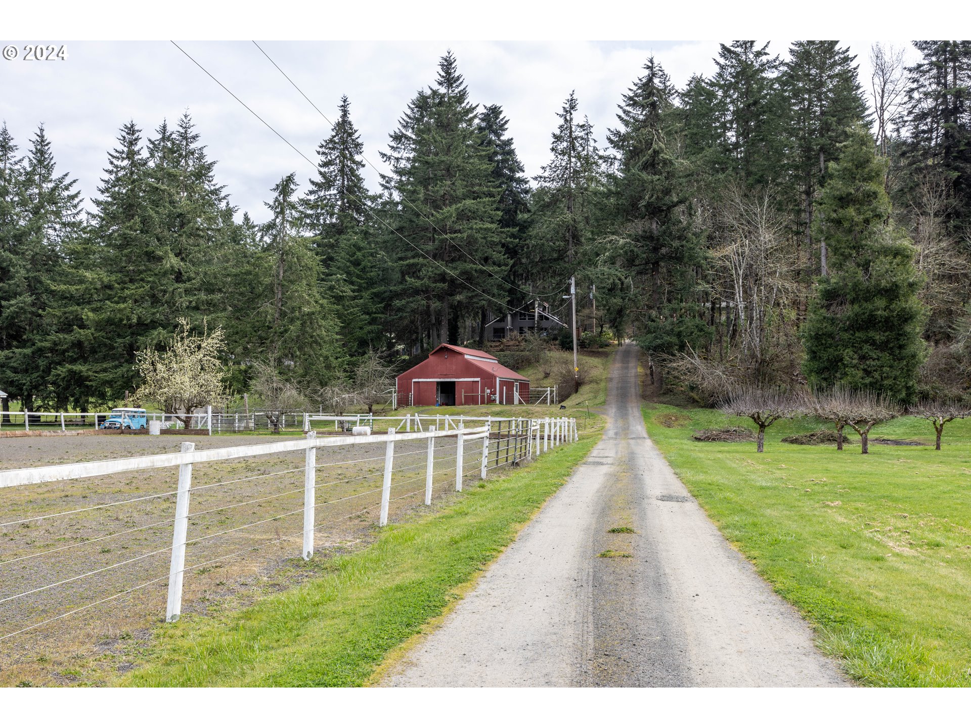 39281 Jasper Lowell Road Lowell, OR 97452 - Photo 36 of 37 a view of a house with backyard and trees
