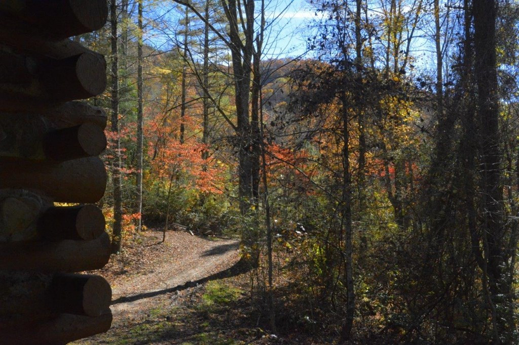 1730 Franks Creek Road Robbinsville, NC 28771 - Photo 23 of 36