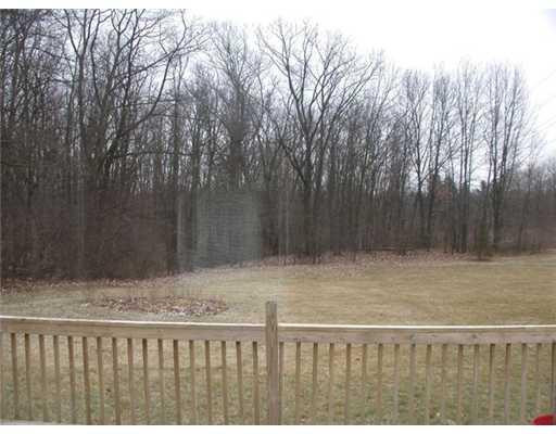 4736 Bemis Road Ypsilanti, MI 48197 - Photo 10 of 11 Photo 10
